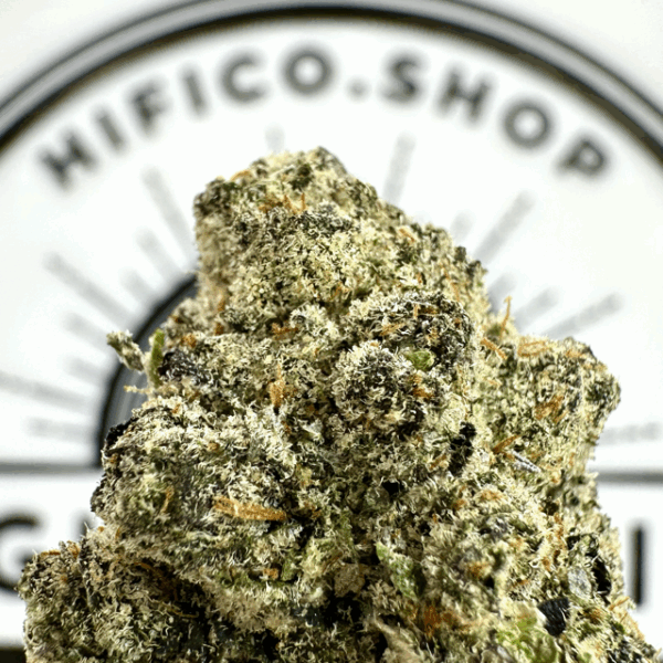 “Vice Runtz" (Uplifting Sativa) THCa Flower Bulk