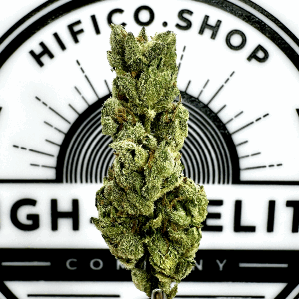 "Apple Fritter" (Balancing Hybrid) THCa Flower Bulk