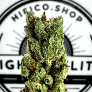 apple fritter balancing hybrid thca flower bulk   high fidelity co