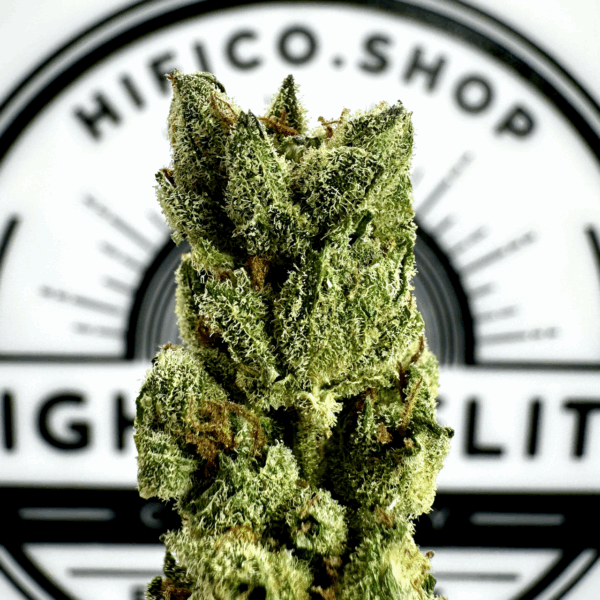 "Apple Fritter" (Balancing Hybrid) THCa Flower Bulk