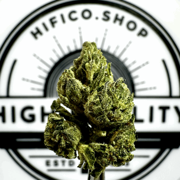 "Gelato 41" (Energizing Sativa) THCa Flower Bulk