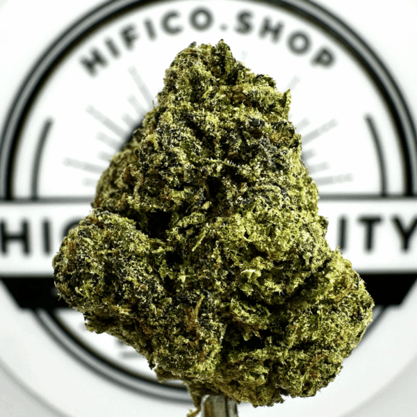 "Gastro Pop" (Relaxing Indica) THCa Flower Bulk