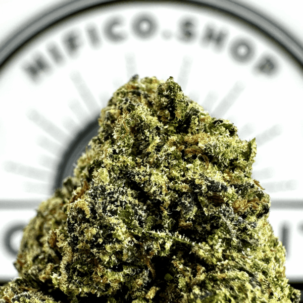 "Gastro Pop" (Relaxing Indica) THCa Flower Bulk