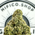 #gumbo relaxing hybrid thca flower bulk   high fidelity co
