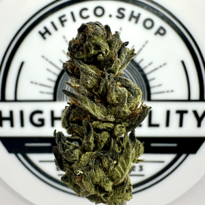 lemoncello thca flower   high fidelity co   page 7