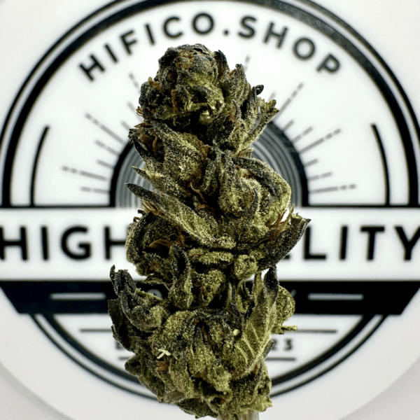 "Lemoncello" THCa Flower