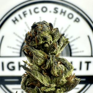 lemoncello thca flower   high fidelity co   page 2