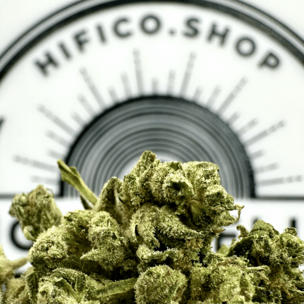 "Chem Driver" (Balancing Hybrid) THCa Flower Bulk