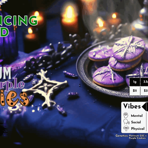 "Platinum Purple Cookies" (Balancing Hybrid) THCa Flower Bulk