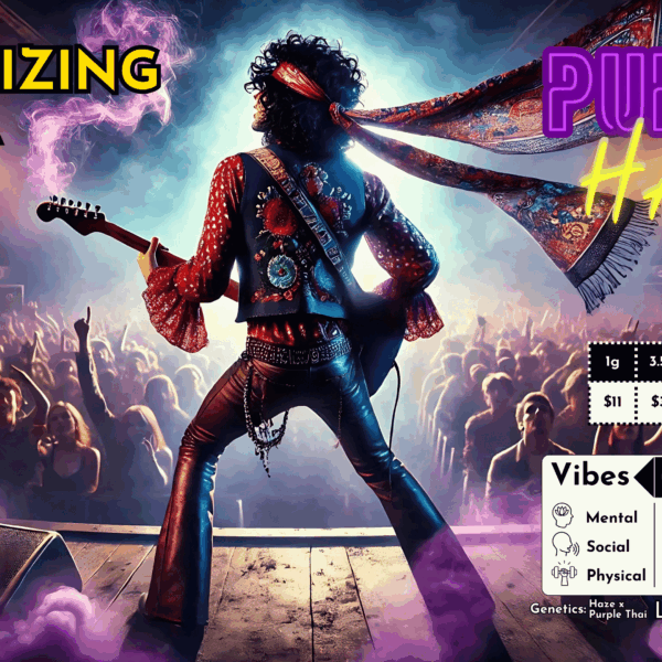 "Purple Haze" (Energizing Sativa) THCa Flower Bulk