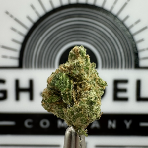 tree flip smalls balancing hybrid thca flower   hifico Shop   page 9