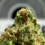 tree flip smalls balancing hybrid thca flower   hifico Shop
