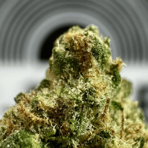"Tree Flip Smalls" (Balancing Hybrid) THCa Flower Bulk