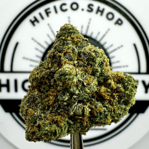 tropicana cookies energizing sativa thca flower bulk   high fidelity co   page 7