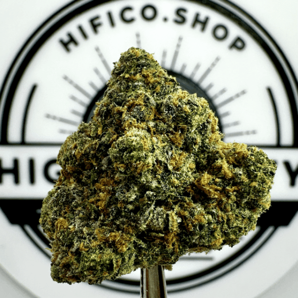 "Tropicana Cookies" (Energizing Sativa) THCa Flower Bulk