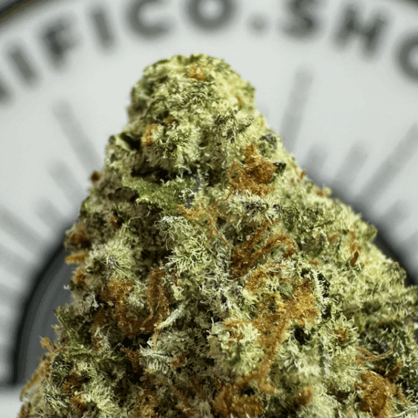 “Empire 54" (Restorative Indica) THCa Flower Bulk