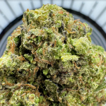 gush mintz relaxing hybrid thca flower bulk   high fidelity co