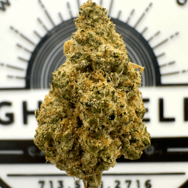 -“Orange Runtz" (Uplifting Sativa) THCa Flower Bulk