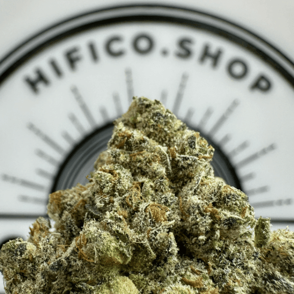 Headliner "Purple Punch" (Restorative Indica ) THCa Flower Bulk