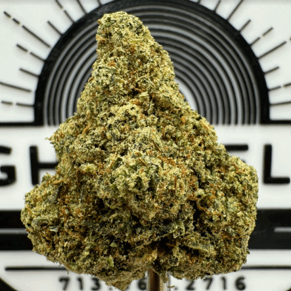 "Wizard Fuel" (Balancing Hybrid) THCa Flower Bulk