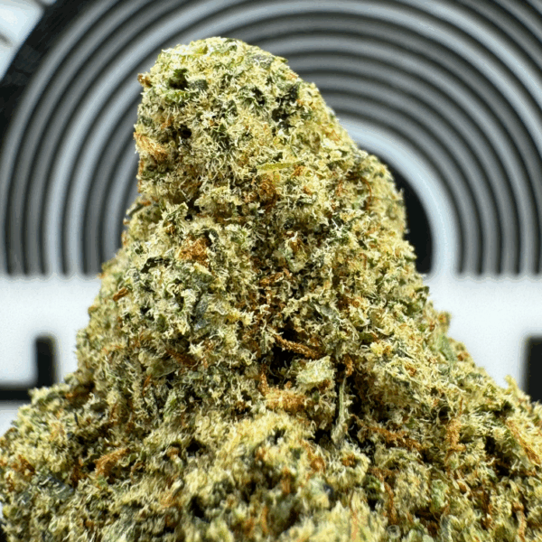 "Wizard Fuel" (Balancing Hybrid) THCa Flower Bulk