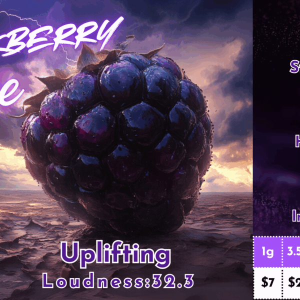 "Blackberry Haze" (Uplifting Sativa) THCa Flower Bulk