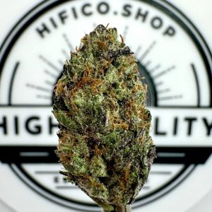 "Blackberry Haze" (Uplifting Sativa) THCa Flower Bulk