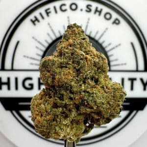 tangerine dream uplifting sativa thca flower bulk   high fidelity co   page 7