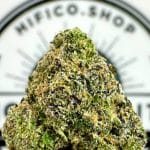 london marker balancing hybrid thca flower bulk   high fidelity co