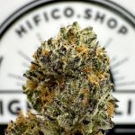 killer cupcake restorative indica thca flower bulk   high fidelity co