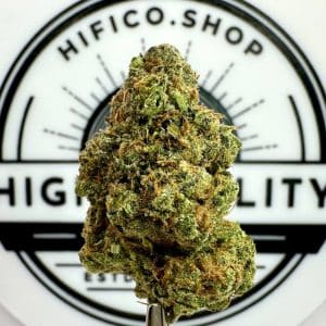 "Lemon Jack" (Energizing Sativa) THCa Flower Bulk