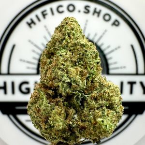 "Orange Creamsicle" (Energizing Sativa) THCa Flower Bulk