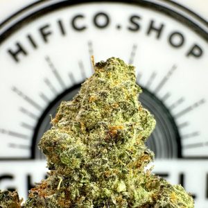 papaya bang bang thca flower   high fidelity co   page 2
