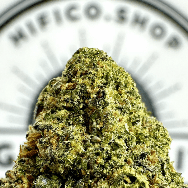 "Rainbow Belts" THCa Flower