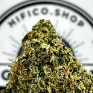 orange runtz thca flower bulk   high fidelity co   page 2