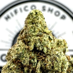 durban lemonade thca flower   high fidelity co   page 2