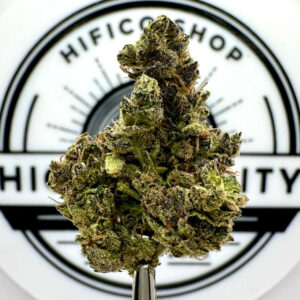 puffy payton thca flower   high fidelity co