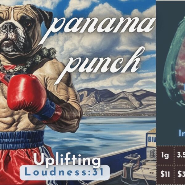 "Panama Punch" THCa Flower