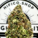 peanut butter cookies thca flower   high fidelity co