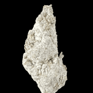 snow dream lo Fi Co thca flower   high fidelity co