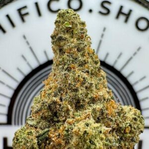 cookies and cream relaxing hybrid thca flower   hifico Shop