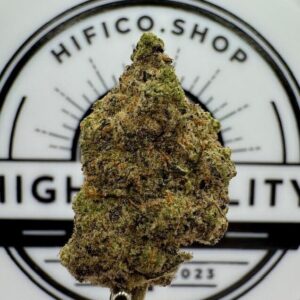 galactic jack energizing sativa thca flower bulk   high fidelity co
