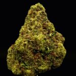 black mintz smalls thca flower   high fidelity co