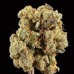 durban poison thca flower   high fidelity co