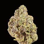 daiquiri thca flower   high fidelity co
