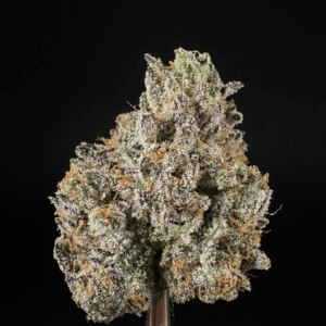 Daiquiri THCa Flower