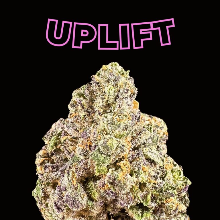 daiquiri thca flower   high fidelity co