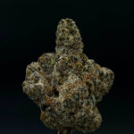 gushers thca flower   high fidelity co