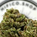 ice cream cake smalls thca flower   high fidelity co