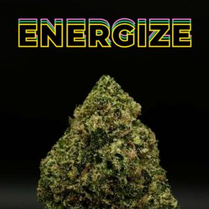 jack herer thca flower   high fidelity co
